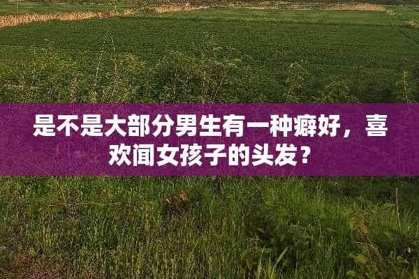 是不是大部分男生有一种癖好，喜欢闻女孩子的头发？