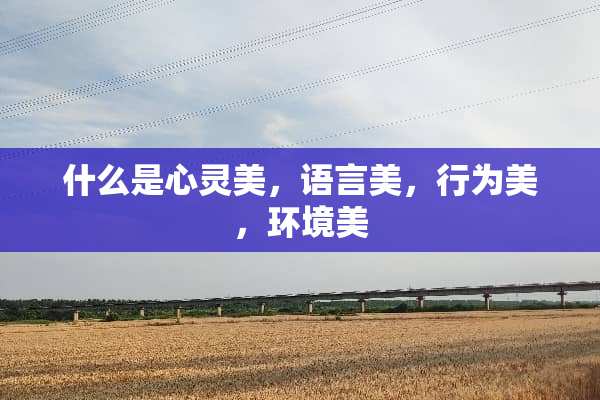 什么是心灵美，语言美，行为美，环境美