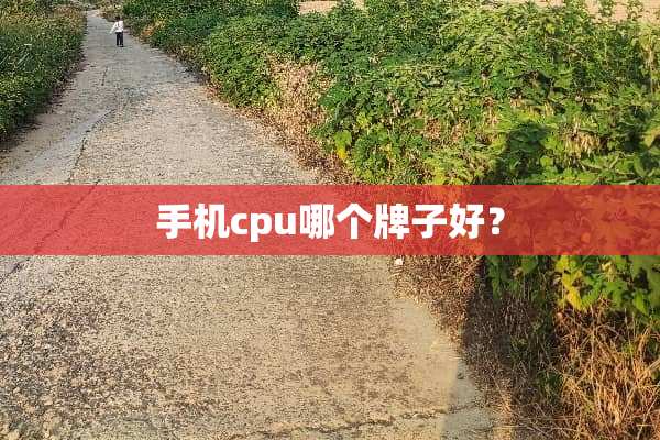 手机cpu哪个牌子好？