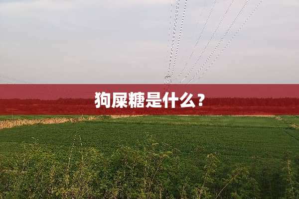 狗屎糖是什么？