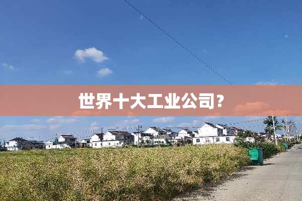 世界十大工业公司？