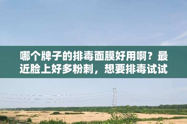 哪个牌子的排毒面膜好用啊？最近脸上好多**，想要排毒试试。