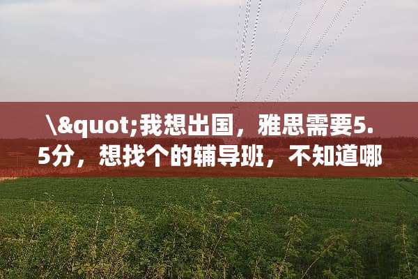 \"我想出国，雅思需要5.5分，想找个的辅导班，不知道哪个值得信赖？