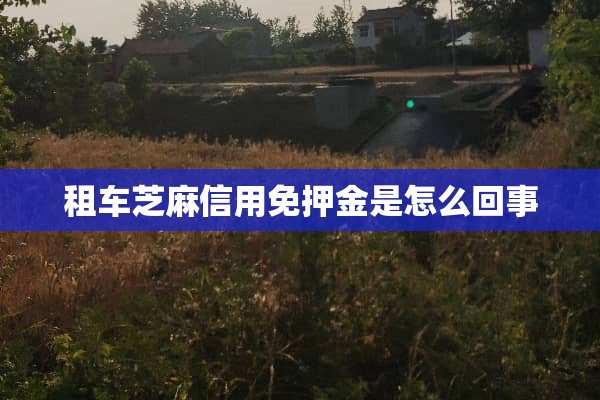 租车芝麻信用免押金是怎么回事