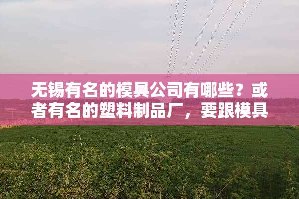 无锡有名的模具公司有哪些？或者有名的塑料制品厂，要跟模具搭上边的。