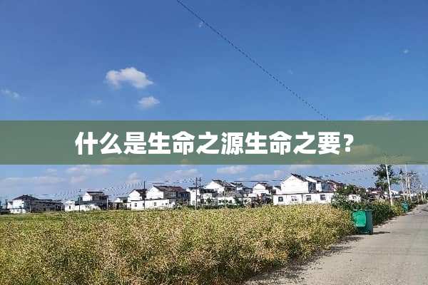 什么是生命之源生命之要？