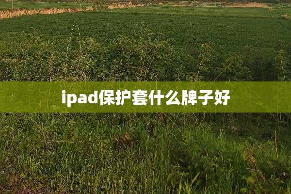 ipad保护套什么牌子好
