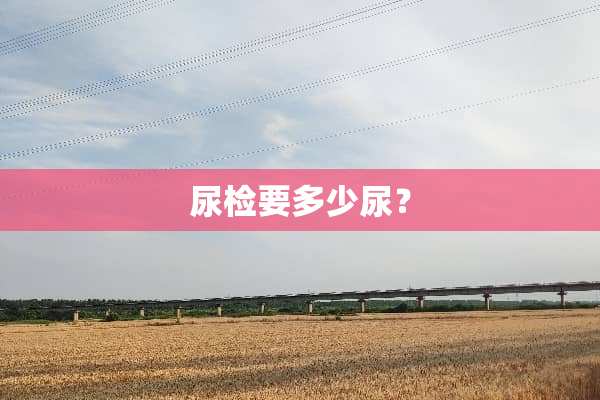 尿检要多少尿？