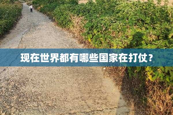 现在世界都有哪些国家在打仗？