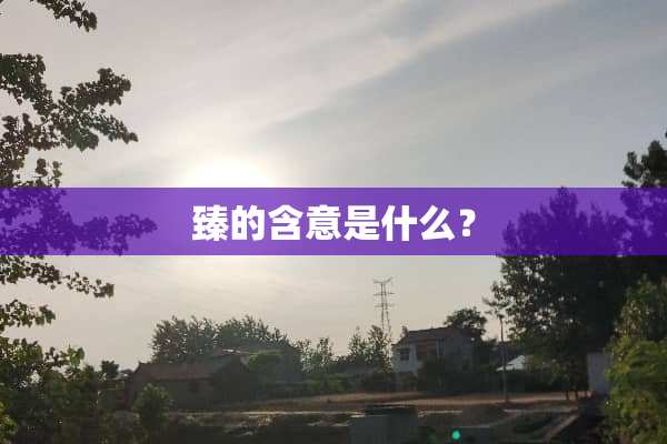 臻的含意是什么？