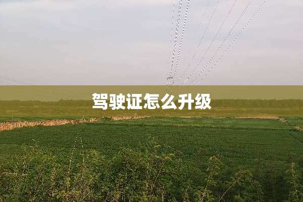 ***怎么升级