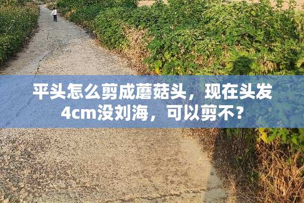 平头怎么剪成蘑菇头，现在头发4cm没刘海，可以剪不？