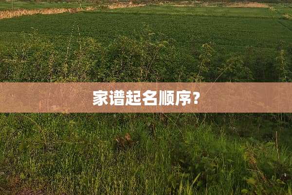 家谱起名顺序？