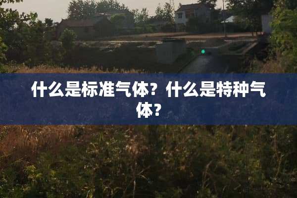 什么是标准气体？什么是特种气体？