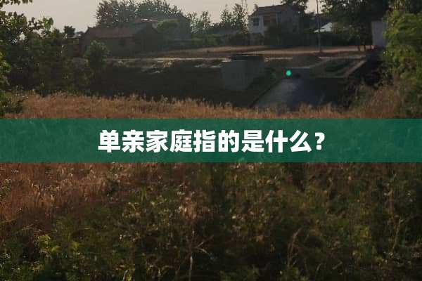 单亲家庭指的是什么？