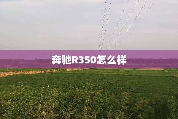 奔驰R350怎么样