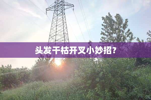 头发干枯开叉小妙招？