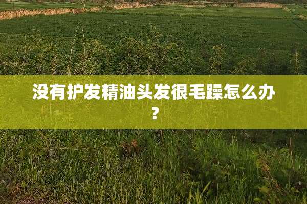 没有护发精油头发很毛躁怎么办？