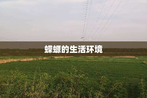 蝾螈的生活环境