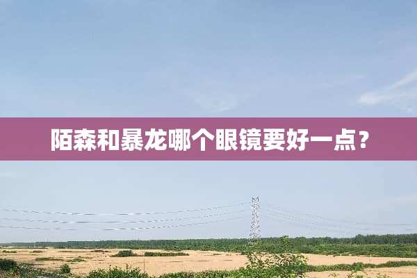 陌森和暴龙哪个眼镜要好一点？
