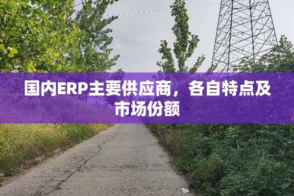 国内ERP主要供应商，各自特点及市场份额