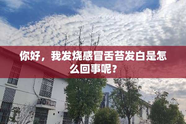 你好，我发烧感冒舌苔发白是怎么回事呢？