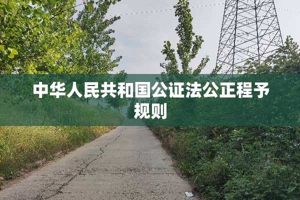 中华人民共和国公证法公正程予规则