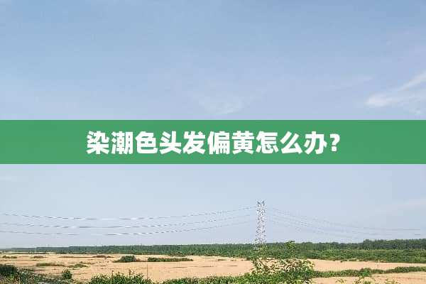 染潮色头发偏黄怎么办？