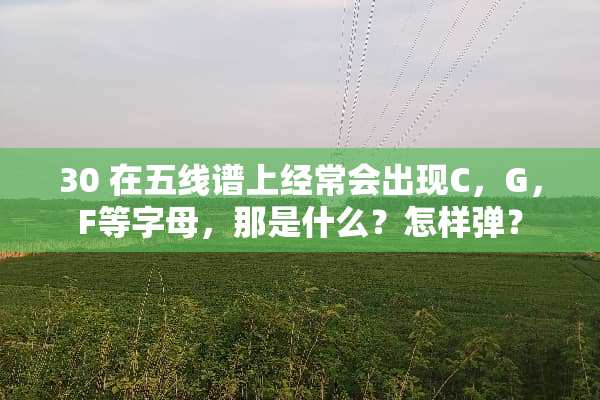 30 在五线谱上经常会出现C，G，F等字母，那是什么？怎样弹？