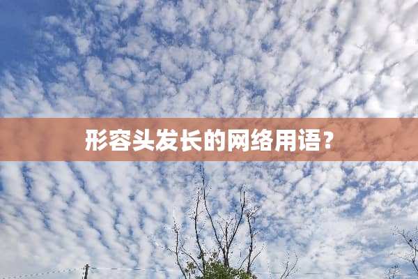 形容头发长的网络用语？