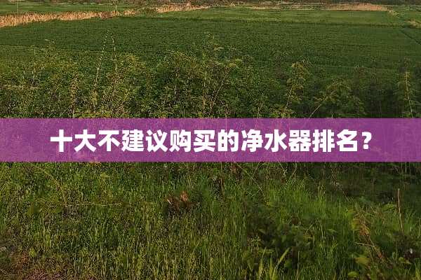 十大不建议购买的***排名？