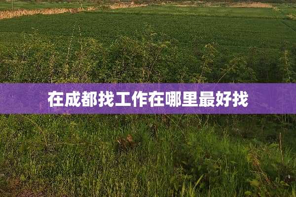 在成都找工作在哪里最好找
