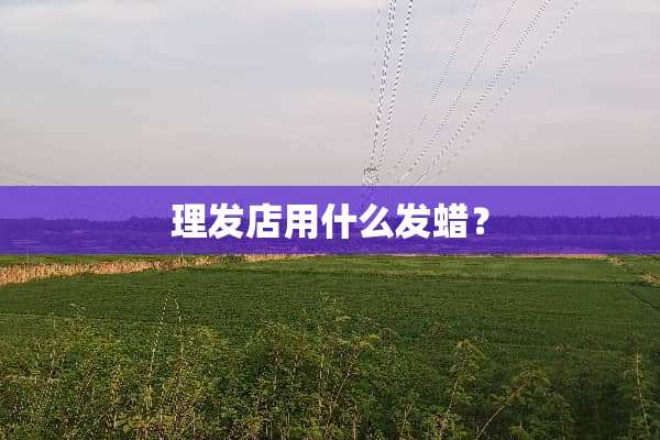 理发店用什么发蜡？