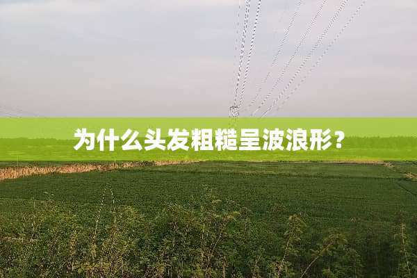 为什么头发粗糙呈波浪形？