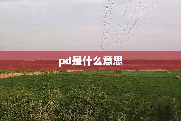 pd是什么意思