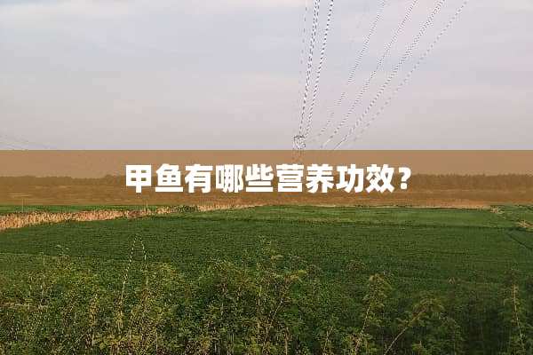 甲鱼有哪些营养功效？