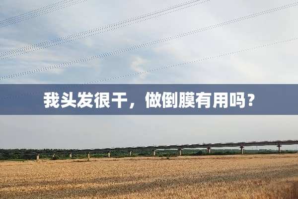 我头发很干，做倒膜有用吗？