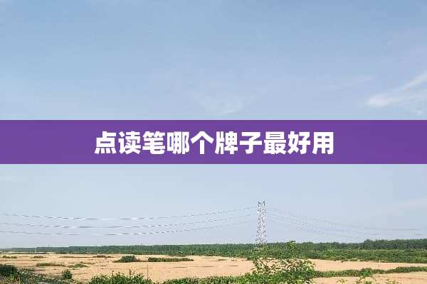 点读笔哪个牌子最好用