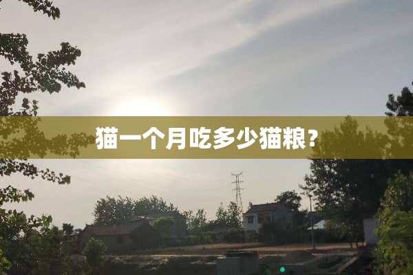 猫一个月吃多少猫粮？