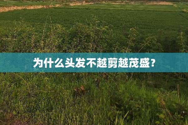 为什么头发不越剪越茂盛？