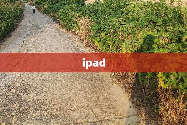 ipad