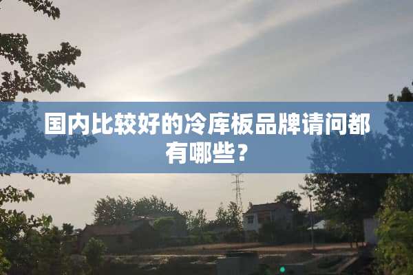 国内比较好的冷库板品牌请问都有哪些？