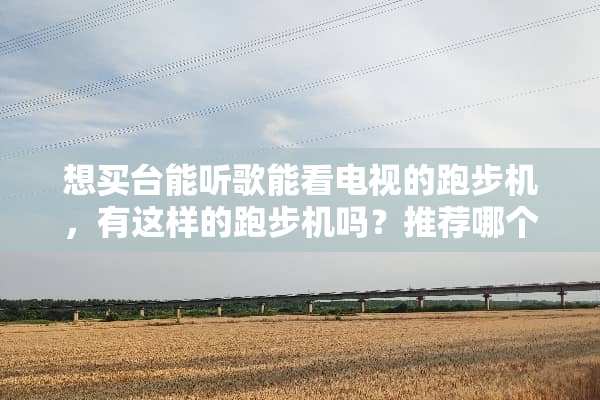想买台能听歌能看电视的跑步机，有这样的跑步机吗？推荐哪个牌子？