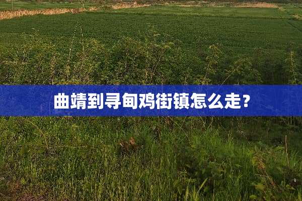曲靖到寻甸鸡街镇怎么走？
