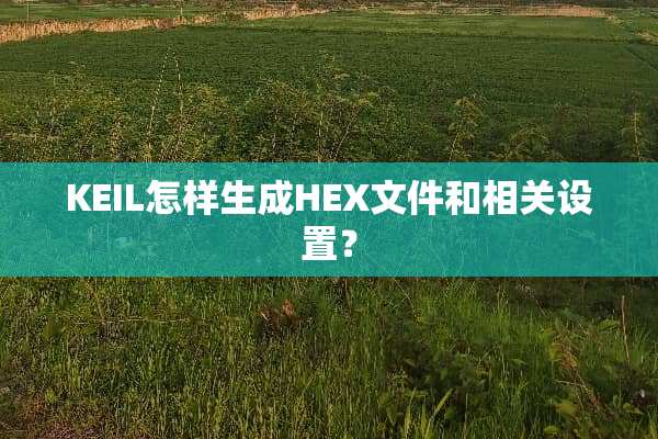 KEIL怎样生成HEX文件和相关设置？
