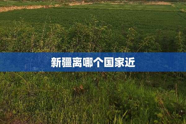新疆离哪个国家近