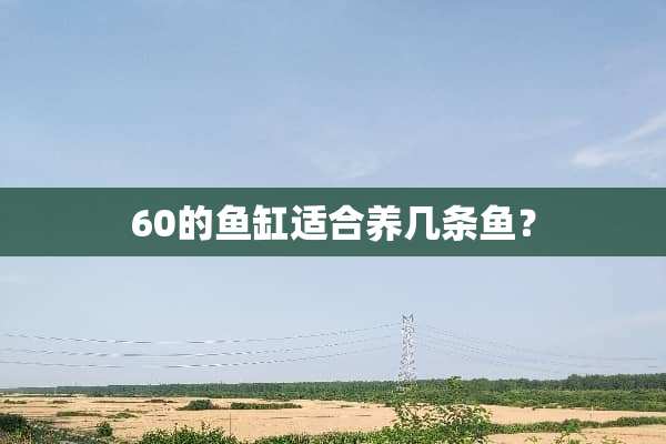 60的鱼缸适合养几条鱼？