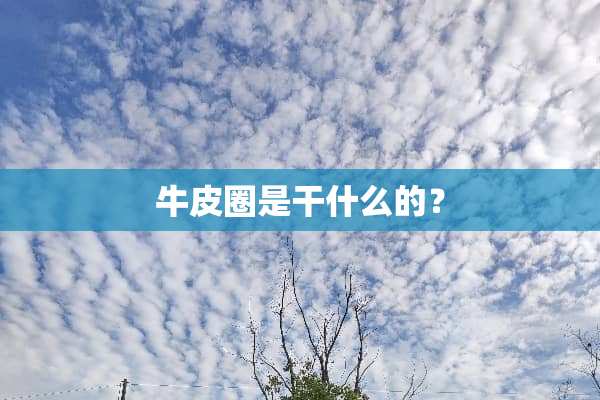 牛皮圈是干什么的？