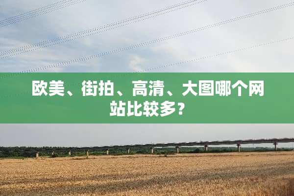 欧美、**、高清、大图哪个网站比较多？