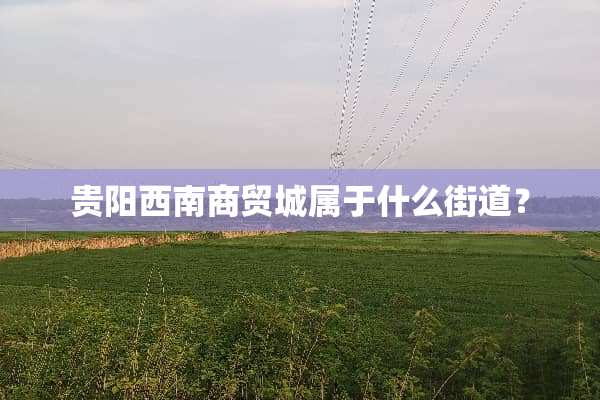 贵阳西南商贸城属于什么街道？